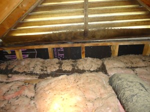 Bats Removal from NC Attic
